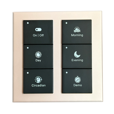 Magnetic Keypad - Gold